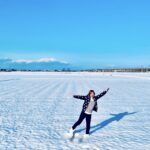 私が帰省する理由